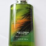 Bath & Body Works Coconut Lime Breeze Showergel
