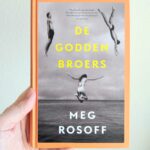 De Godden broers – Meg Rosoff